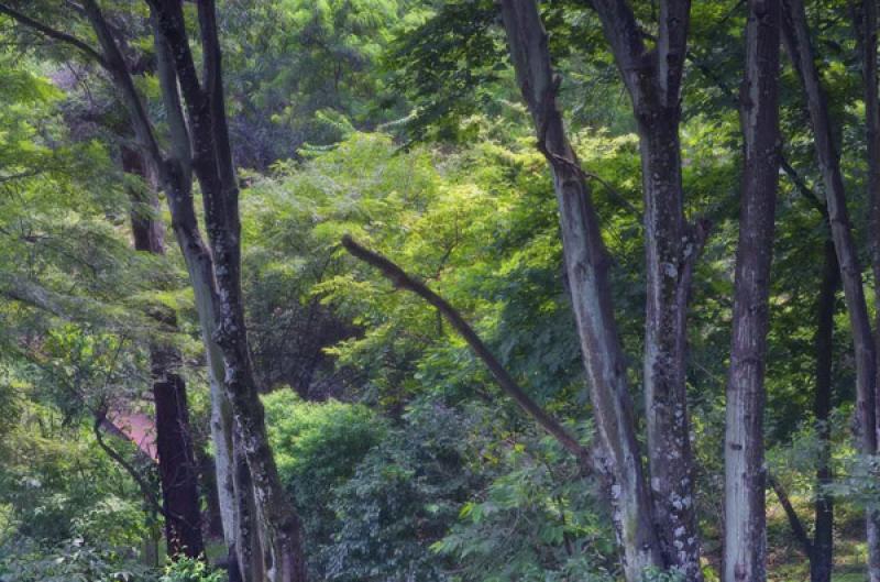 Cerro Nutibara, Medellin, Antioquia, Colombia