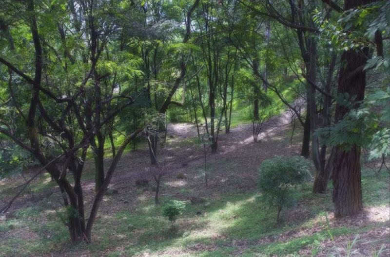 Cerro Nutibara, Medellin, Antioquia, Colombia