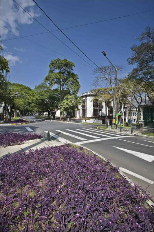 Prado Centro, Medellin, Antioquia, Colombia