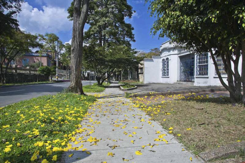 Vivienda de Prado Centro, Medellin, Antioquia, Col...