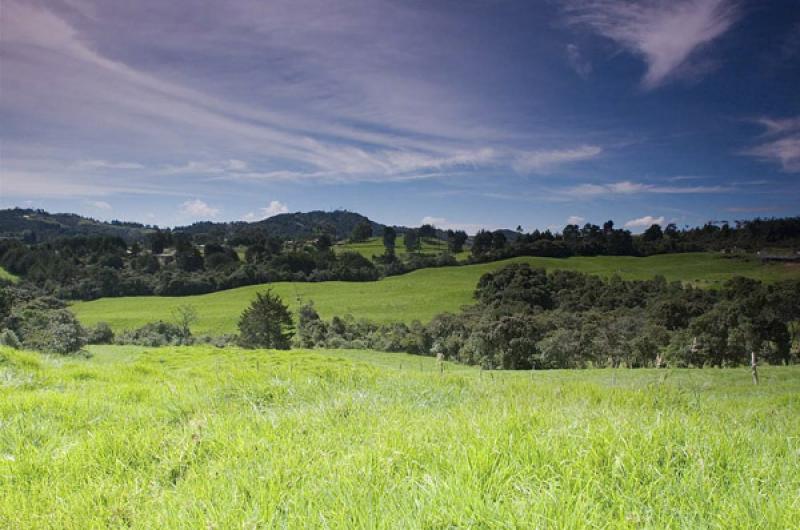 Paisaje de Santa Elena, Antioquia, Medellin, Colom...