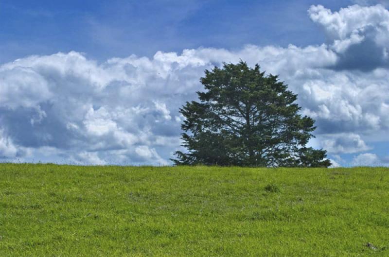 Paisaje de Santa Elena, Antioquia, Medellin, Colom...