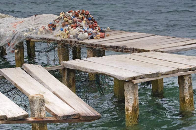 Muelle en Santa Cruz del Islote, Golfo de Morrosqu...