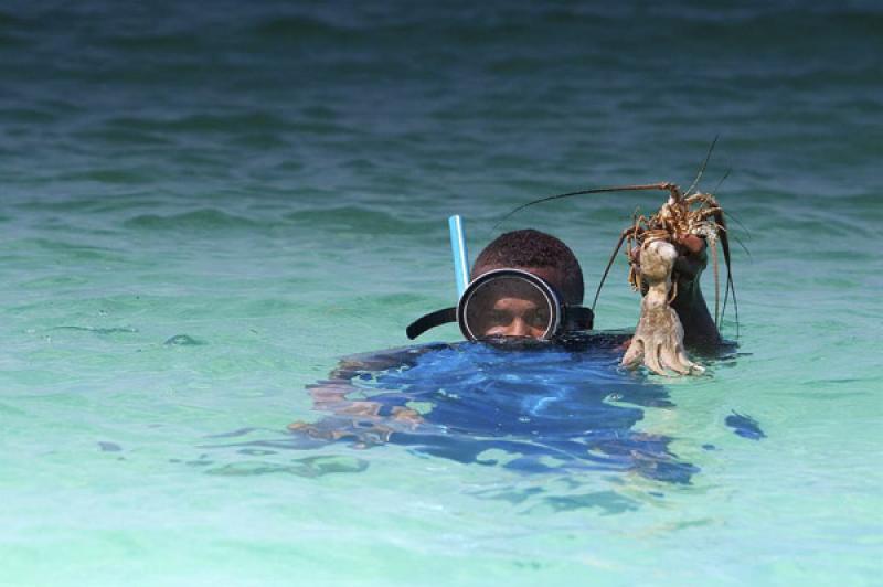 Hombre Buceando, Santa Cruz del Islote, Golfo de M...