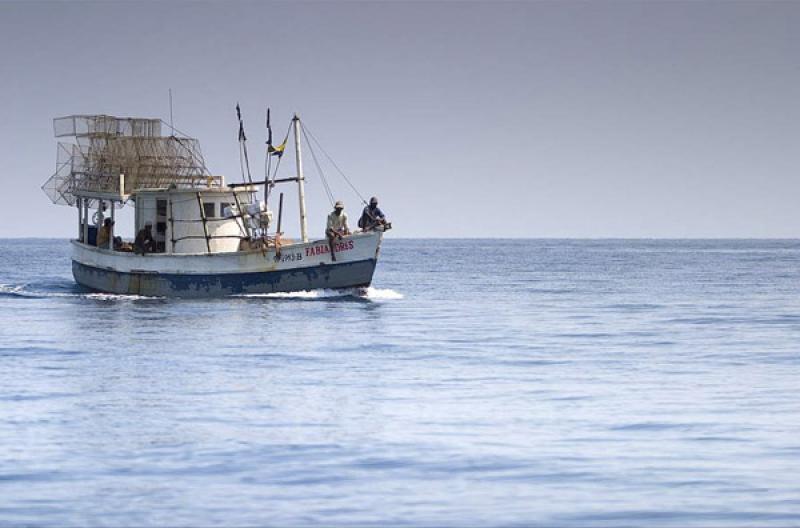 Barco Pesquero, Archipielago San Bernardo, Golfo d...