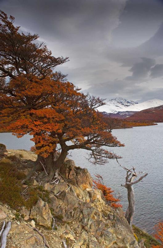 Lago San Martin, Chalten, Patagonia, Argentina, Su...