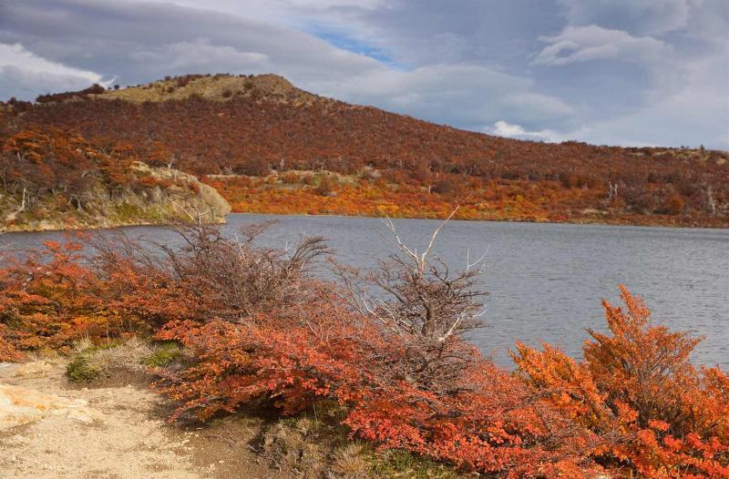 Lago San Martin, Chalten, Patagonia, Argentina, Su...