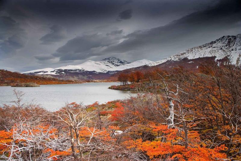 Lago San Martin, Chalten, Patagonia, Argentina, Su...