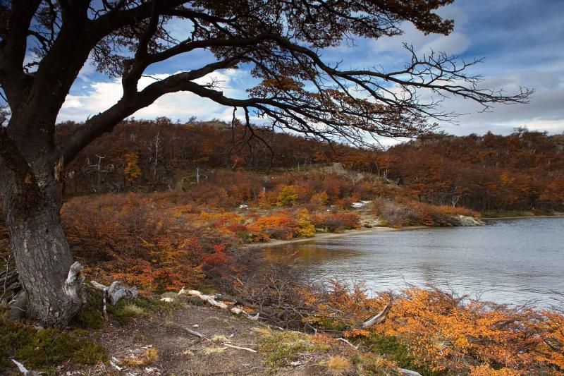 Lago San Martin, Chalten, Patagonia, Argentina, Su...