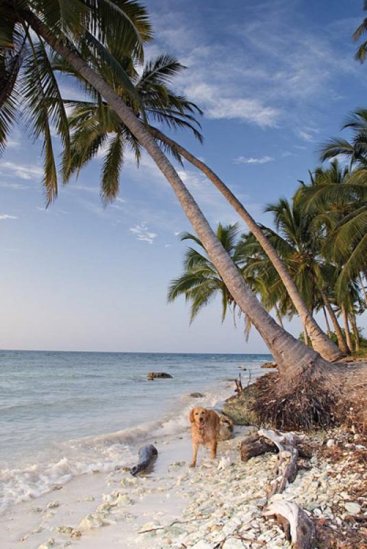 Isla Mucura, Golfo de Morrosquillo, Archipielago S...