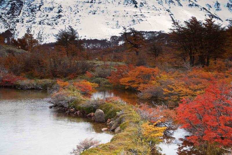 Lago San Martin, Chalten, Patagonia, Argentina, Su...