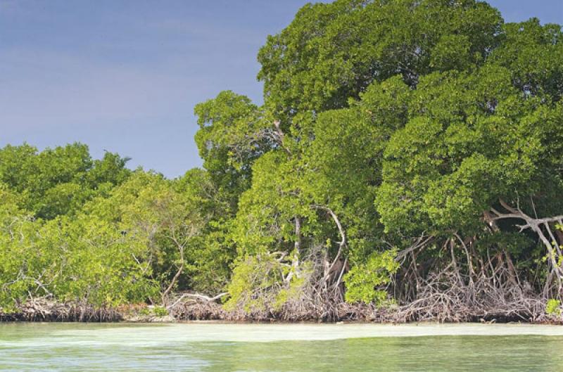 Isla Mucura, Golfo de Morrosquillo, Archipielago S...