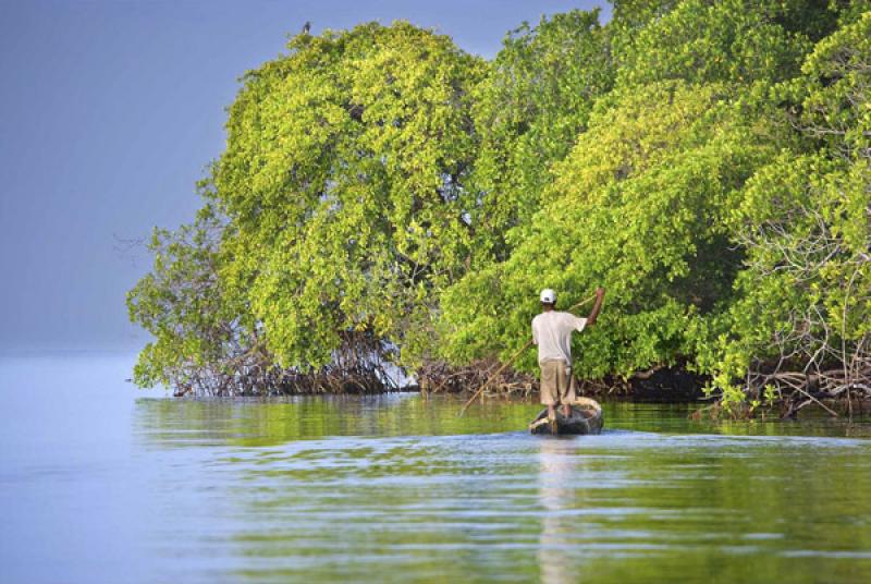 Pescador en Isla Mucura, Golfo de Morrosquillo, Ar...