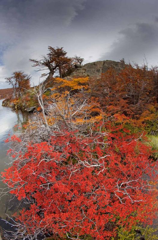 Lago San Martin, Chalten, Patagonia, Argentina, Su...