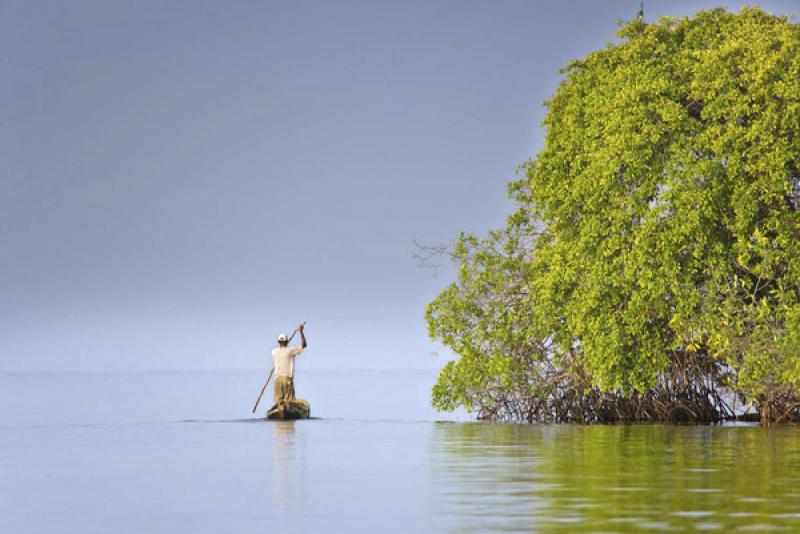 Pescador en Isla Mucura, Golfo de Morrosquillo, Ar...