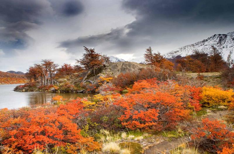 Lago San Martin, Chalten, Patagonia, Argentina, Su...