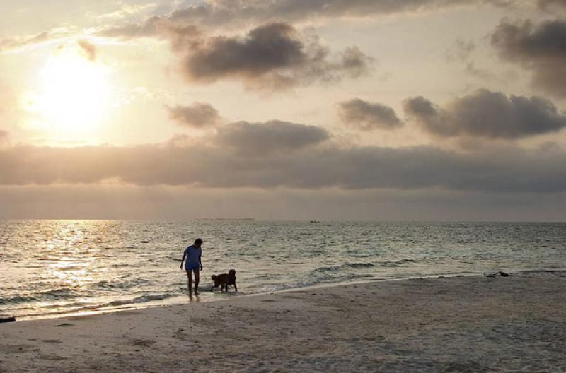 Hombre Caminando en la Playa, Isla Mucura, Golfo d...