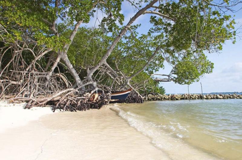 Isla Mucura, Golfo de Morrosquillo, Archipielago S...