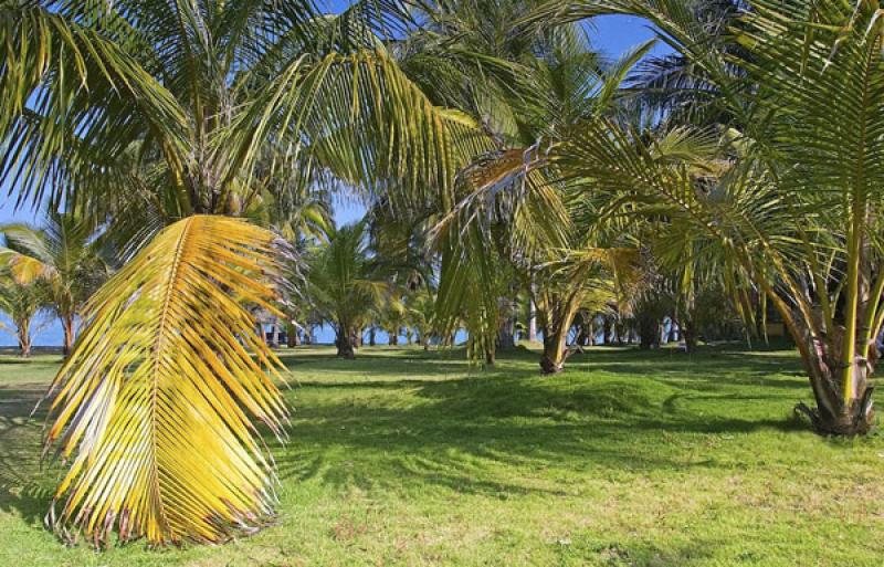 Isla Mucura, Golfo de Morrosquillo, Archipielago S...