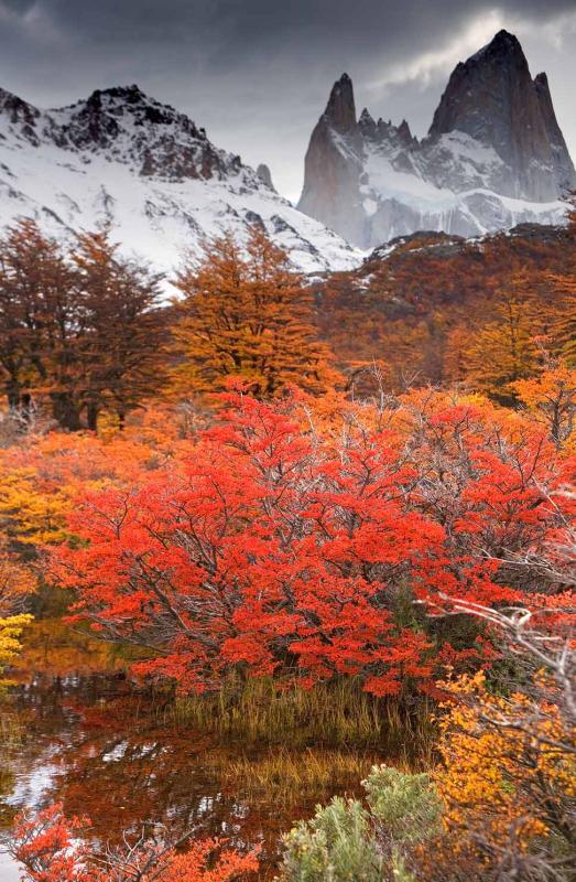 Cerro Fitz Roy Chalten, Argentina, Patagonia, Arge...