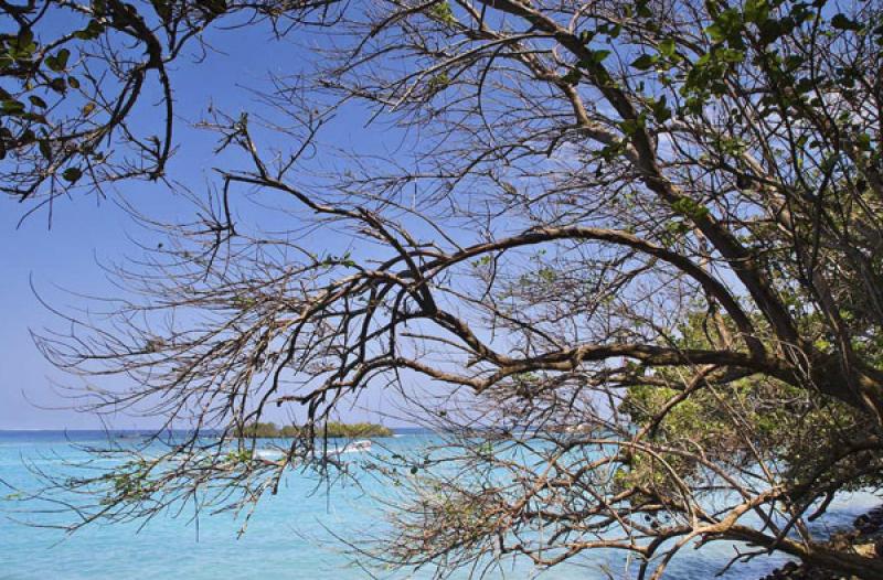 Islas del Rosario, Cartagena, Bolivar, Colombia