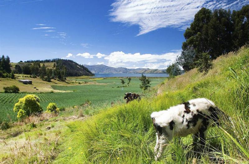 Laguna de Tota, Boyaca, Tunja, Colombia