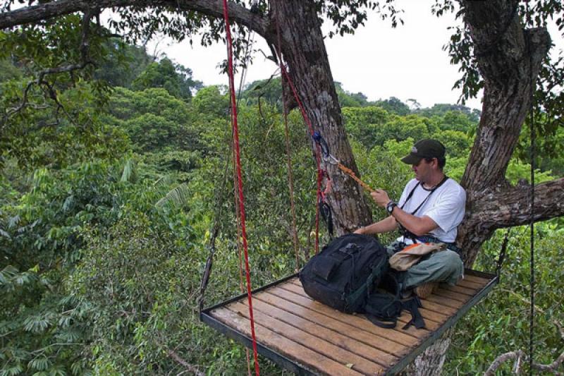 Hombre Realizando Canopy, Bahia Solano, Choco, Qui...