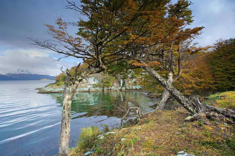 Bahia Lapataia, Ushuaia, Patagonia, Argentina