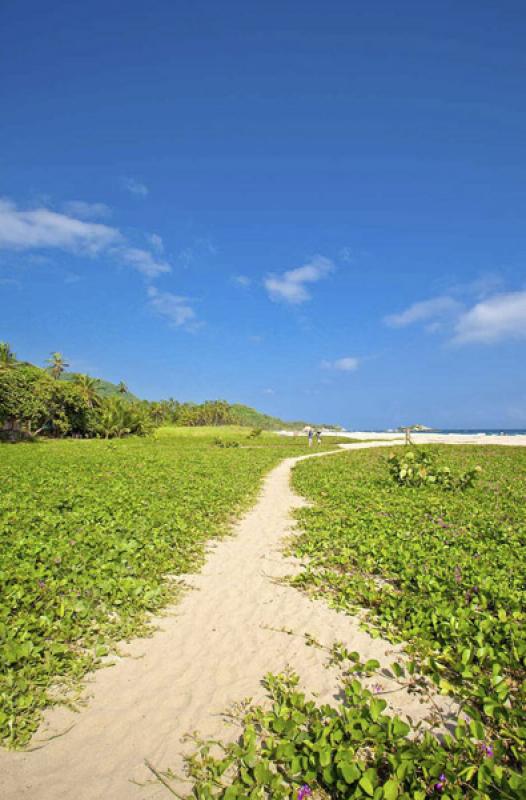 Parque Nacional Natural Tayrona, Santa Marta, Magd...