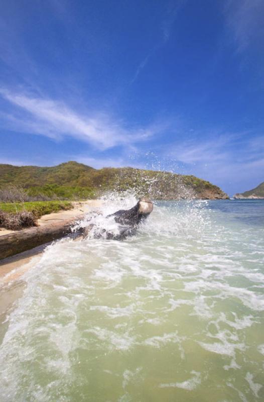 Parque Nacional Natural Tayrona, Santa Marta, Magd...