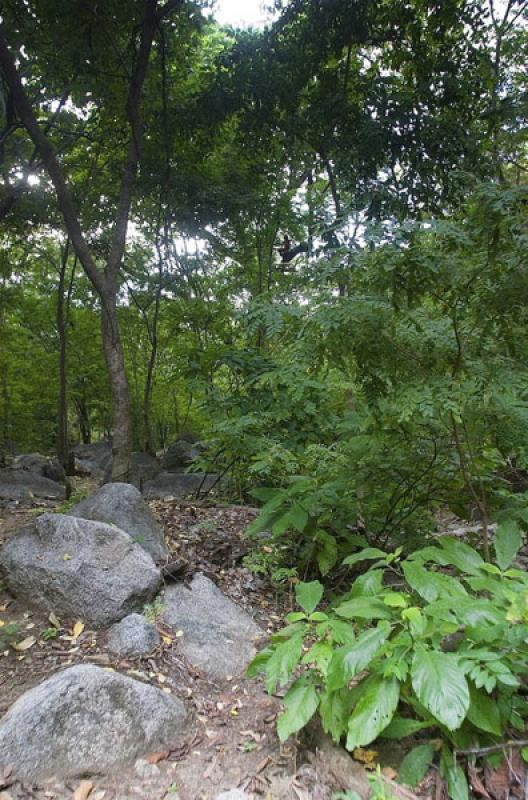 Parque Nacional Natural Tayrona, Santa Marta, Magd...