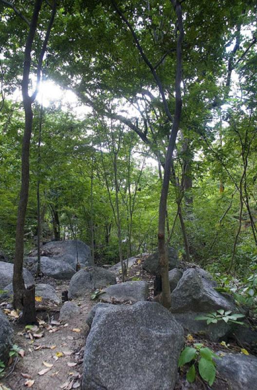 Parque Nacional Natural Tayrona, Santa Marta, Magd...