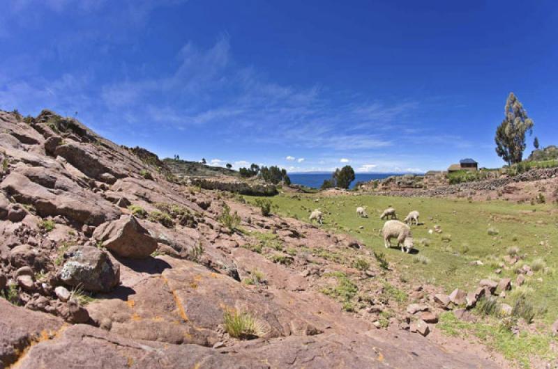 Puno, Peru, Lima, Sur America