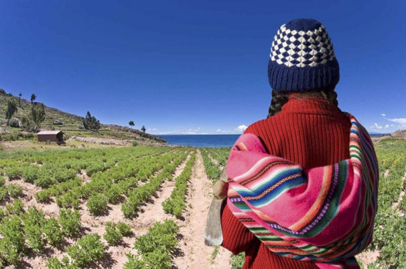 NiÃ±a Aimara, Puno, Peru, Lima, Sur America