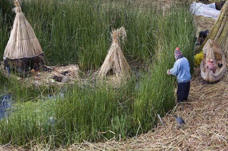 Isla de los Uros, Puno, Peru, Lima, Sur America