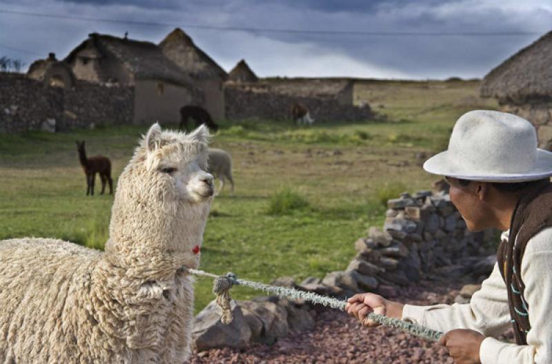 Indigena Aimara, Puno, Peru, Lima, Sur America