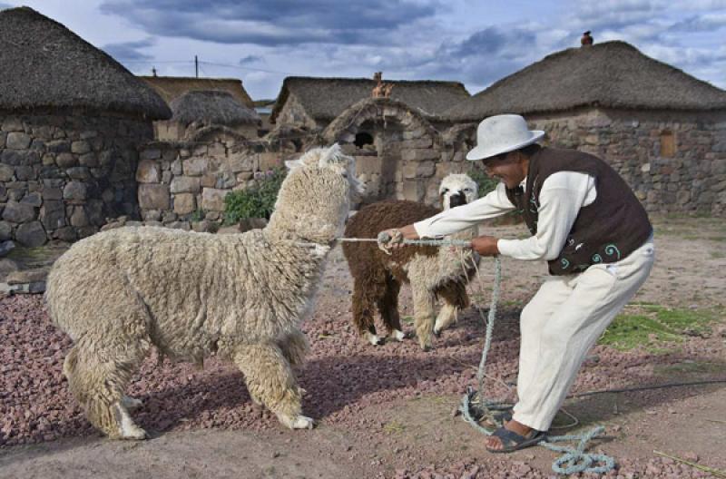 Indigena Aimara, Puno, Peru, Lima, Sur America