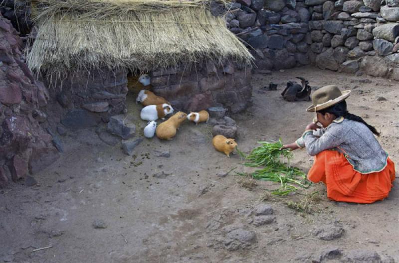 NiÃ±a Aimara, Puno, Peru, Lima, Sur America