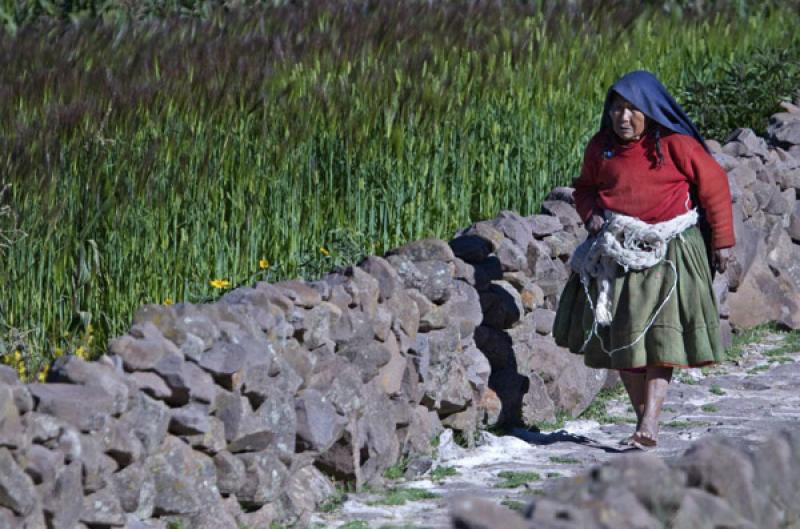 Indigena en el Campo, Puno, Peru, Lima, Sur Americ...