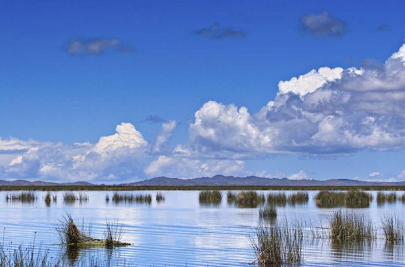 Lago Titicaca, Puno, Peru, Lima, Sur America