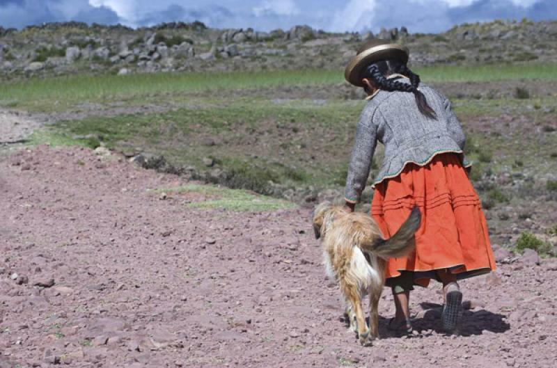 NiÃ±a Aimara, Puno, Peru, Lima, Sur America