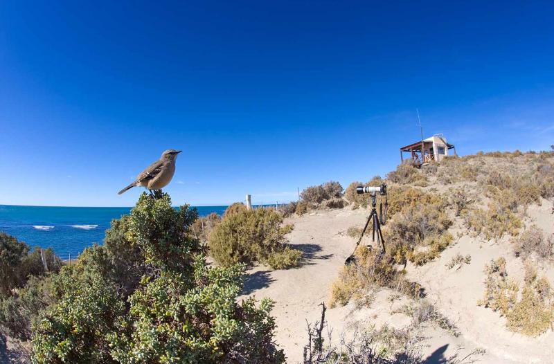 Playa de Piramides, Peninsula Valdes, Argentina