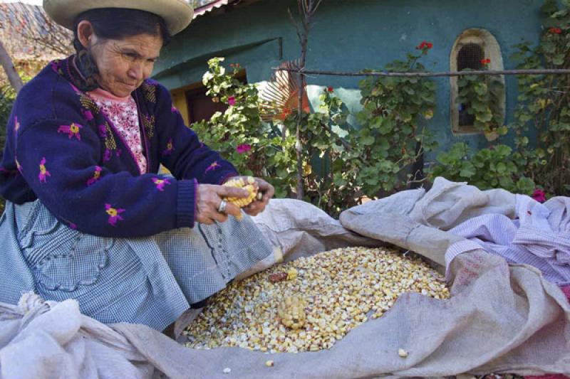 Mujer Trabajando, Pisac, Cuzco, Cusco, Peru, Sur A...