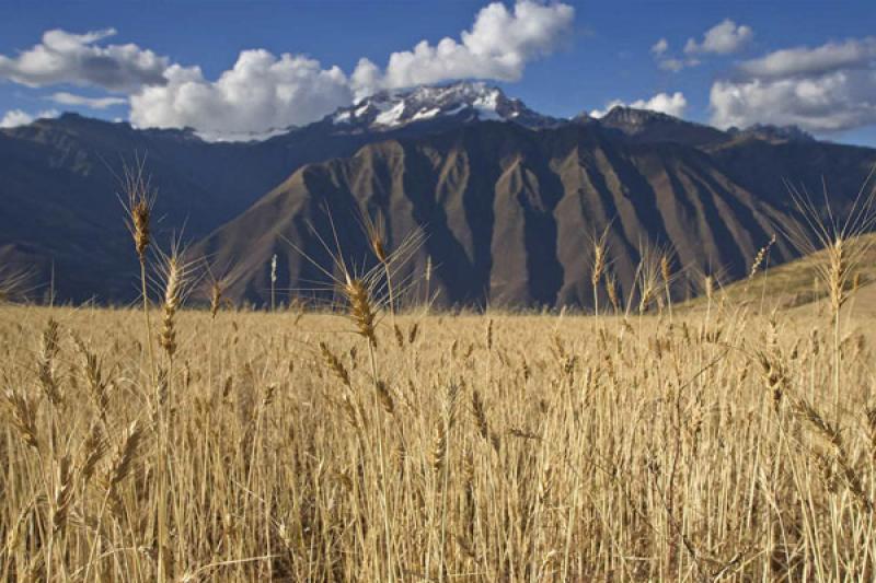 Cordillera de los Andes, Cuzco, Cusco, Peru, Sur A...