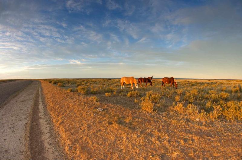 Playa de Piramides, Peninsula Valdes, Argentina