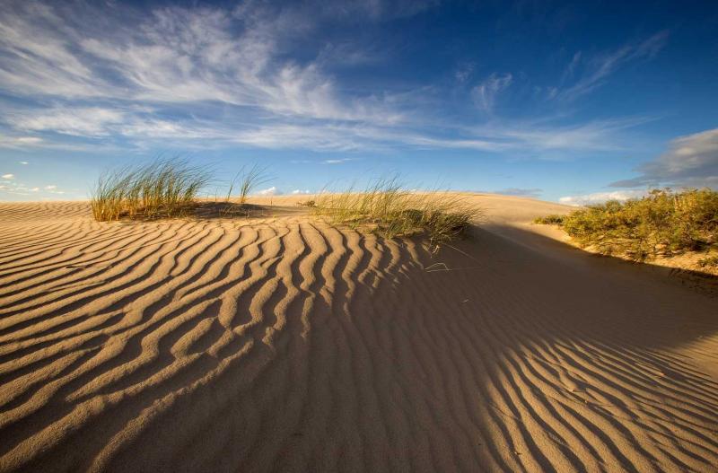 Playa de Piramides, Peninsula Valdes, Argentina