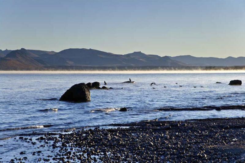 Lago Nahuel Huapi, Bariloche, Rio Negro, Patagonia...