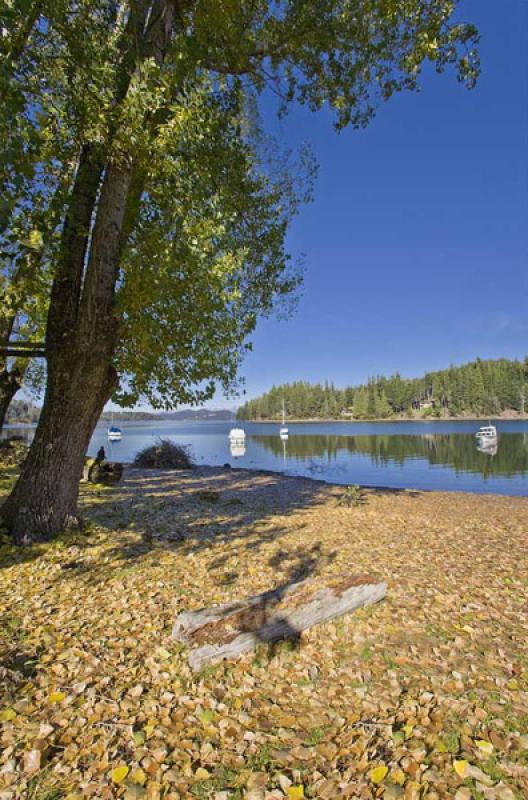 Lago Nahuel Huapi, Bariloche, Rio Negro, Patagonia...