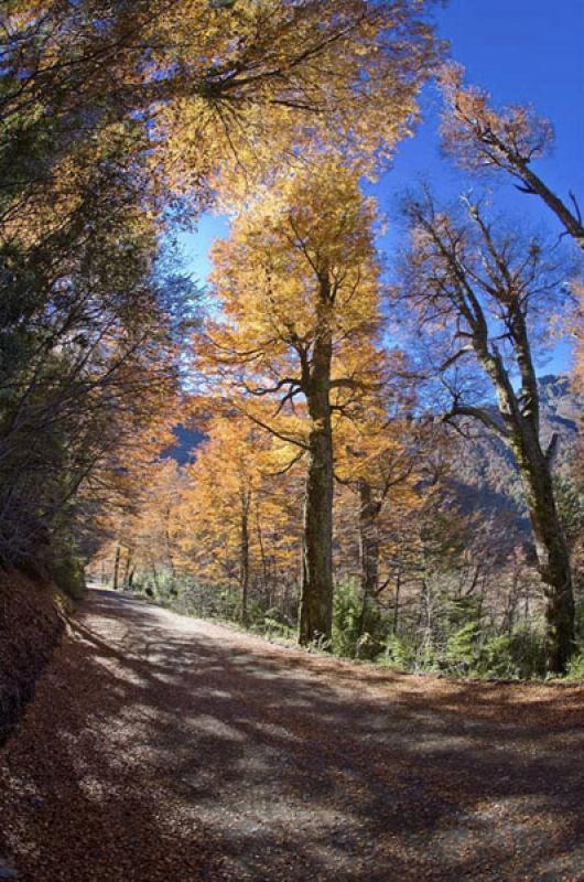 Parque Nacional Nahuel Huapi, Bariloche, Rio Negro...