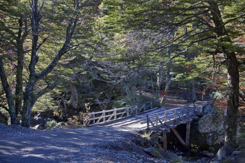 Parque Nacional Nahuel Huapi, Bariloche, Rio Negro...